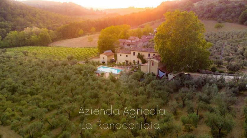Moraiolo Olio Extravergine di Oliva von La Ranocchiaia