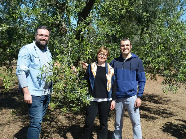 Foto der italienischen Olivenölproduzenten von Caputo Maria