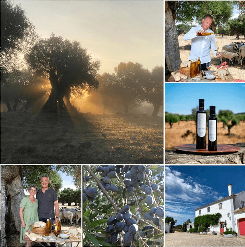 Da Baronia Alentejo Portugal Olivenöl von Berger