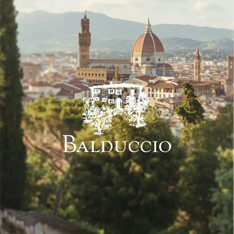 Italienisches Bio Olivenöl von Balduccio