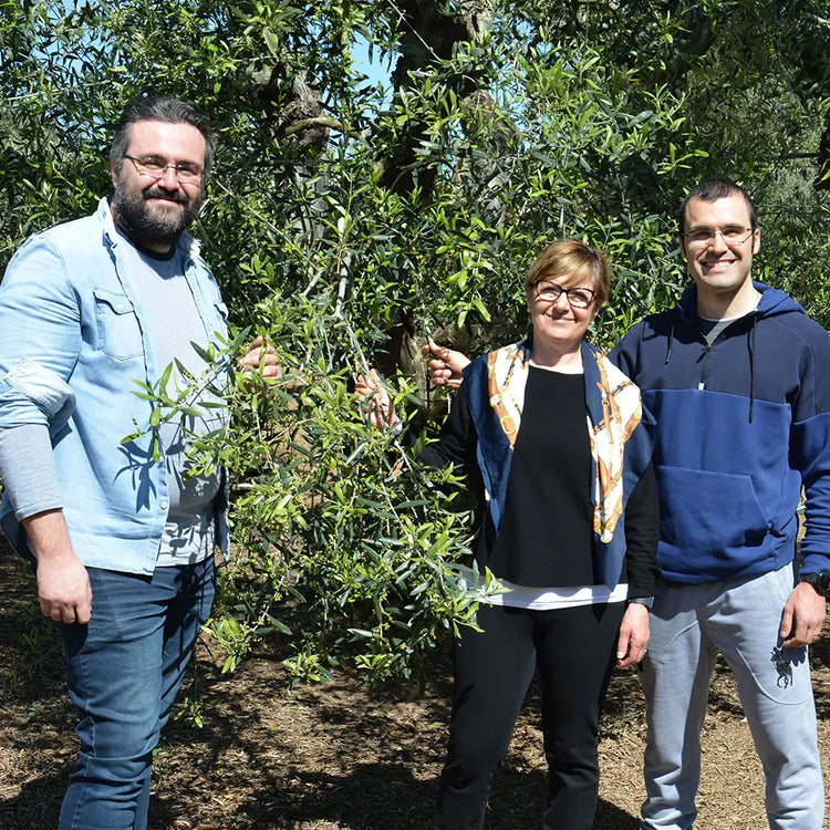 Gran Pregio – Bio Olivenöl aus Apulien