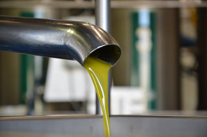 Gran Pregio Coratina Olio Extra Vergine di Oliva von Caputo Maria